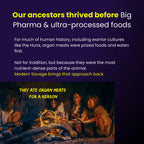 MODERN SAVAGE™ Grass-Fed Beef Organ Gummies — Now 5-in-1 Support