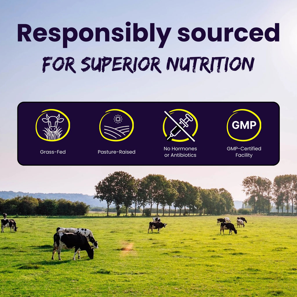 MODERN SAVAGE™ Grass-Fed Beef Organ Gummies — Now 5-in-1 Support