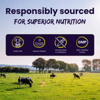 MODERN SAVAGE™ Grass-Fed Beef Organ Gummies — Now 5-in-1 Support